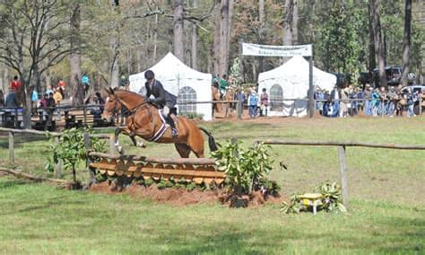Aiken Horse Show grounds - Image 2