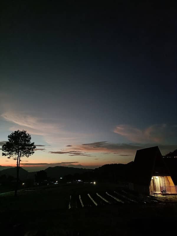 Aska maria - Image 2