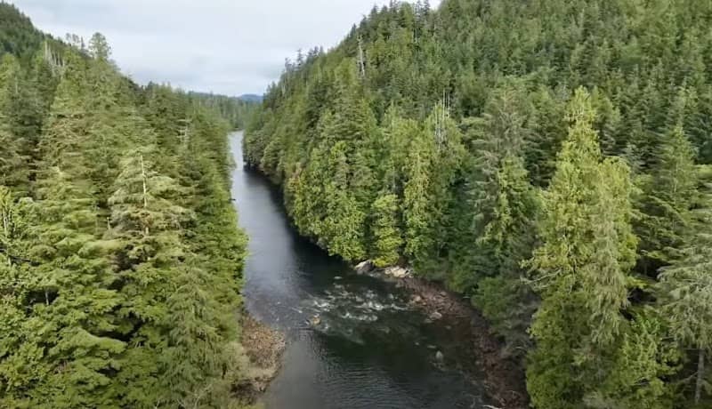 Kennedy Cove - Image 3