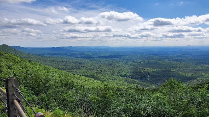 Cheaha State Park Observation Tower - Image 3