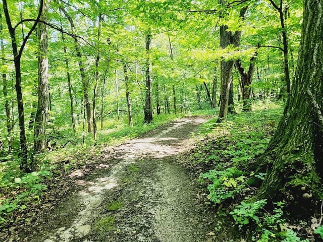 Chester Woods Park - Image 2