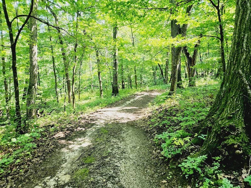 Chester Woods Park - Image 2