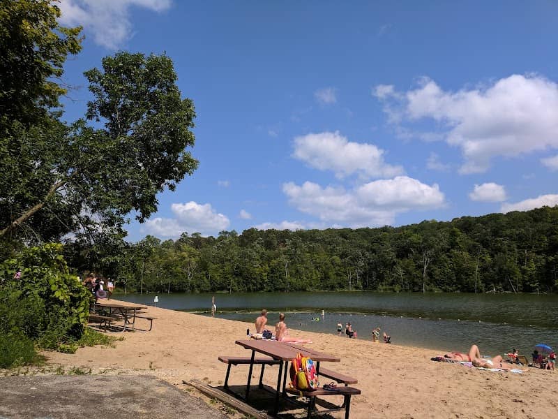 Chester Woods Park - Image 1
