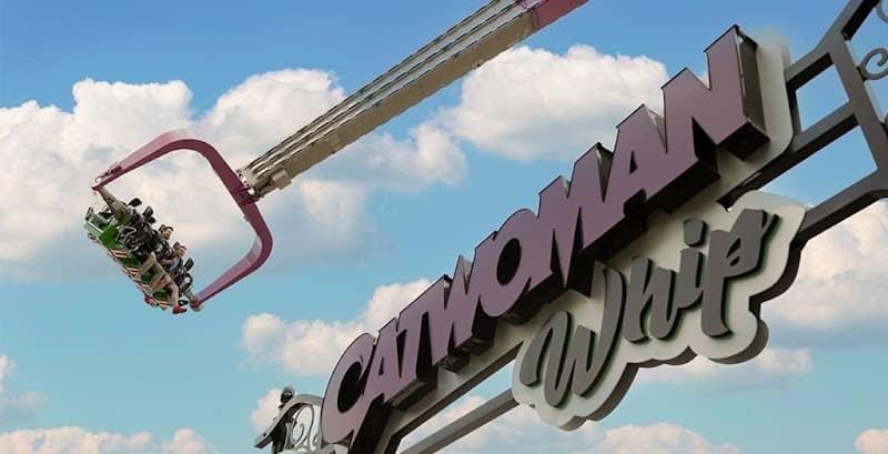 Catwoman Whip - Image 2