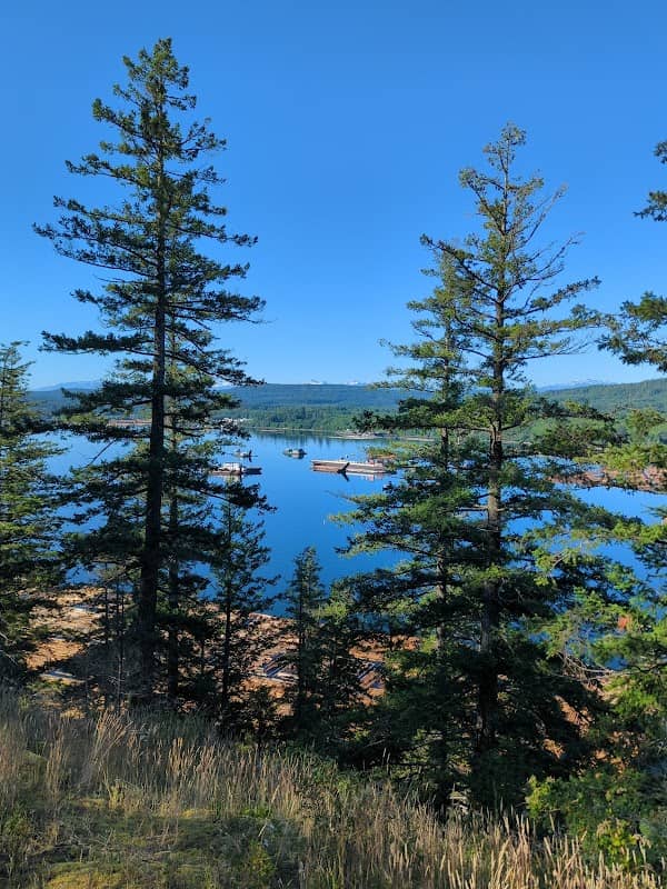 Point view - Image 1
