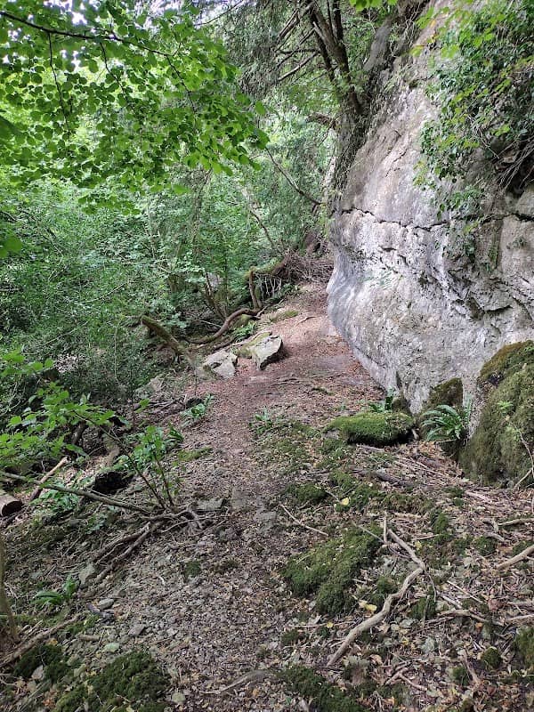 Woodwell cliff - Image 2