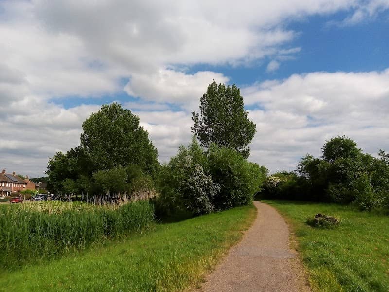 Ramsdale woods - Image 2