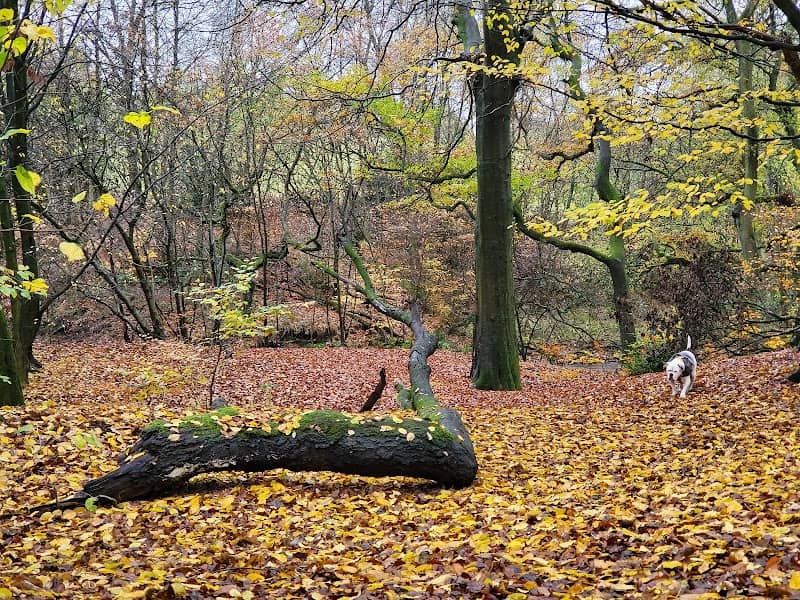 Hopwood Clough - Image 1
