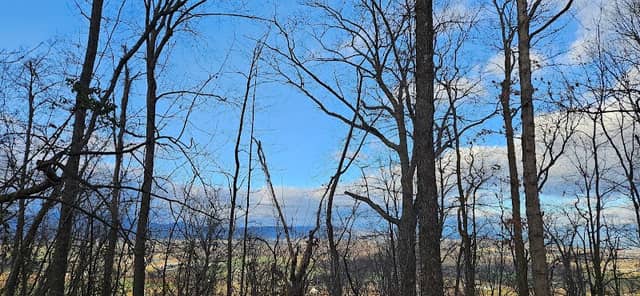 Mole Hill Peak - Image 2