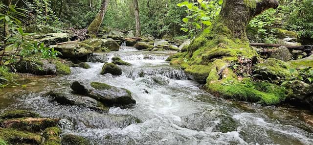 Powder Horn Mountain - Image 1