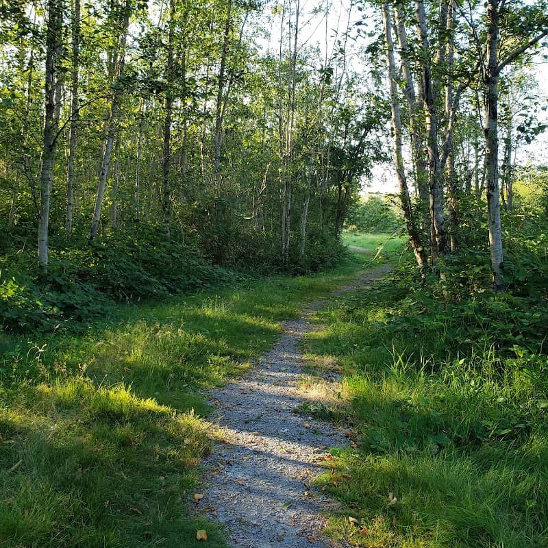 Maddox Creek Trailhead - Image 2