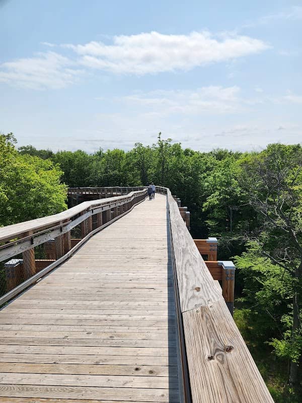 Eagle Panorama - Image 1