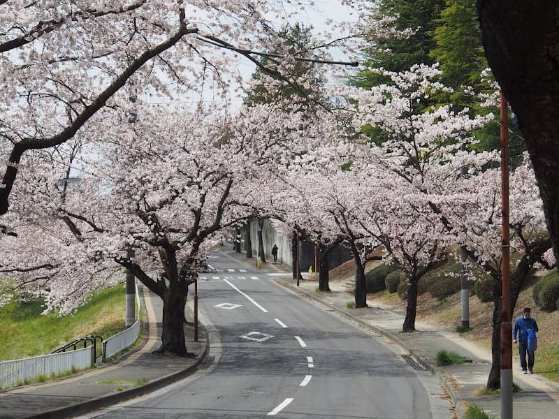 Shogenfuchi Park - Image 2