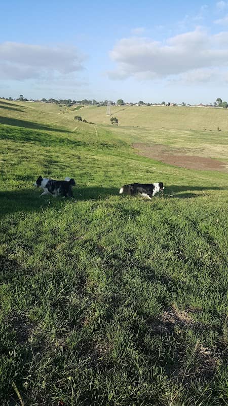 Jacana Valley Parklands - Image 1
