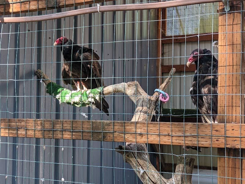 Chintimini Wildlife Center - Wildlife Hospital - Image 1