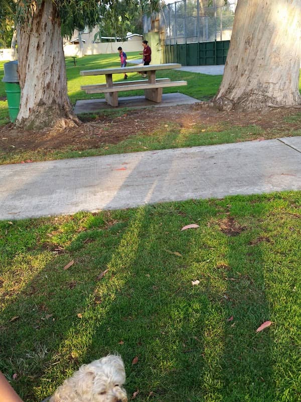 Pioneer Park - Image 2