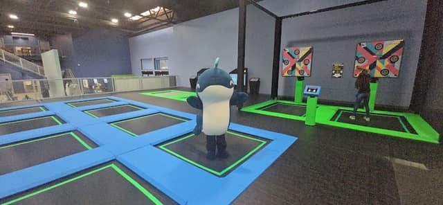 Vellix Adventure Park - Image 1