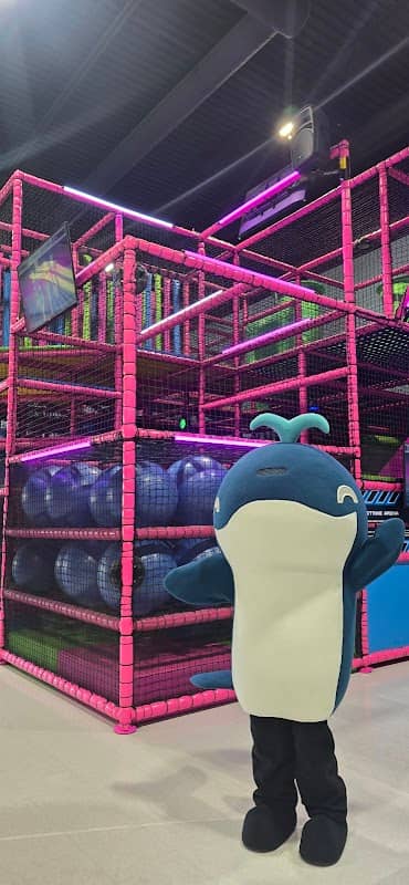 Vellix Adventure Park - Image 2