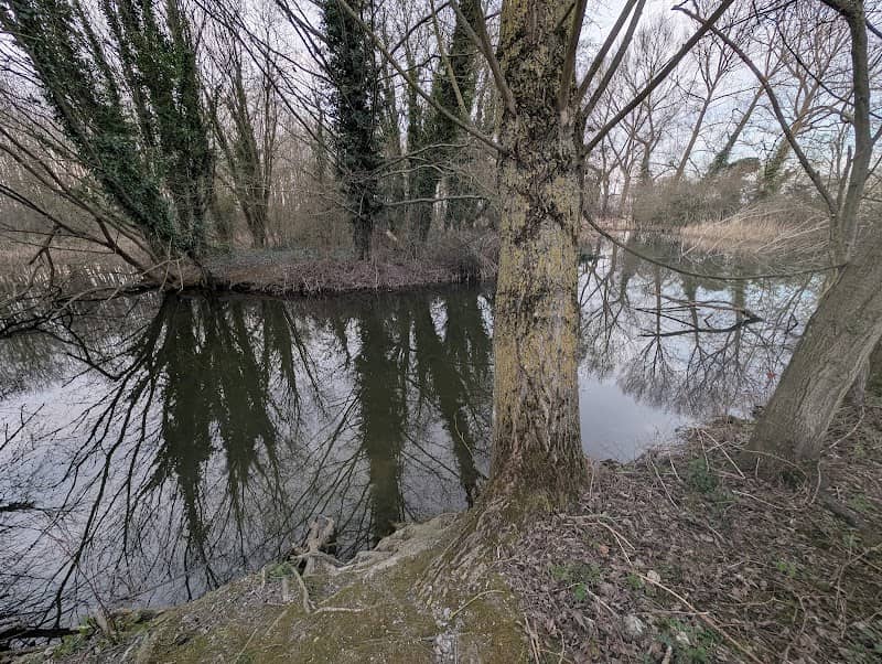 Moleskin and Markham Hills Lake - Image 2