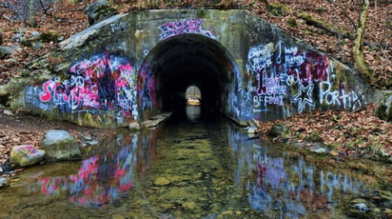 Big Elm Tunnel - Image 1