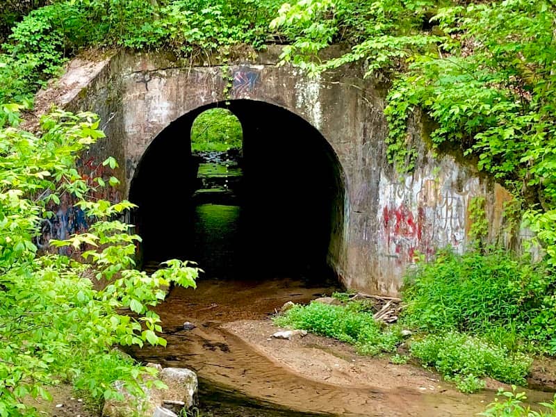 Big Elm Tunnel - Image 2