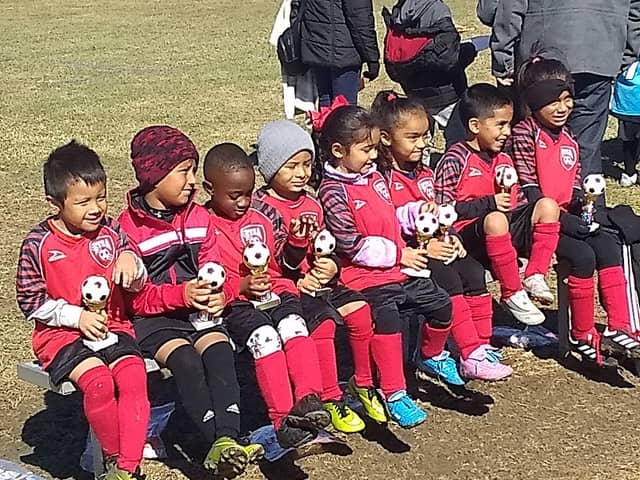 Elgin Youth Soccer Association - Image 1