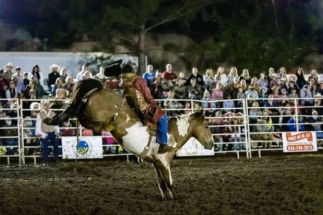 Moncks Corner Pro Rodeo - Image 1