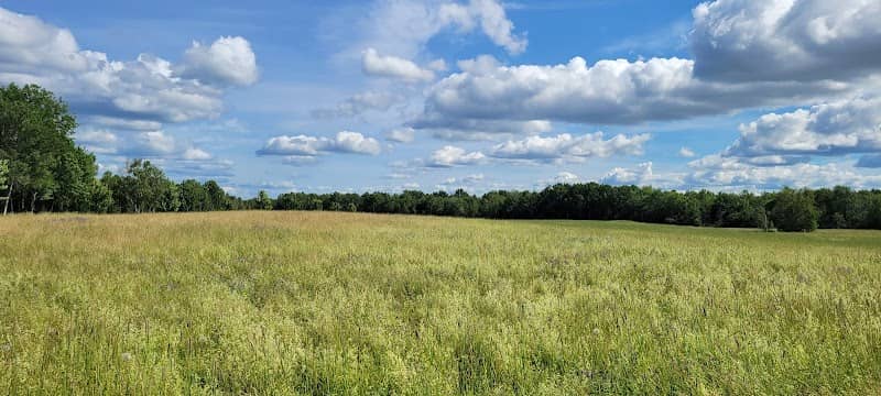 West Penjajawoc Grasslands - Image 1