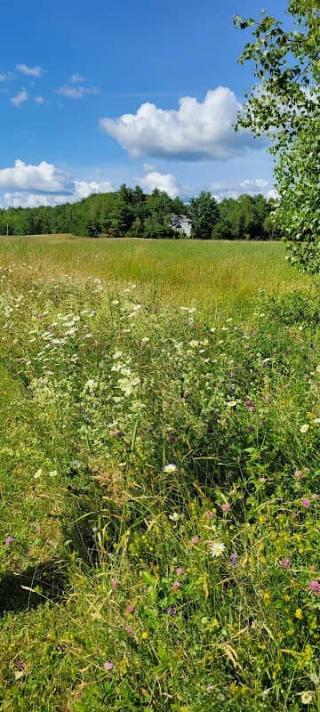 West Penjajawoc Grasslands - Image 2