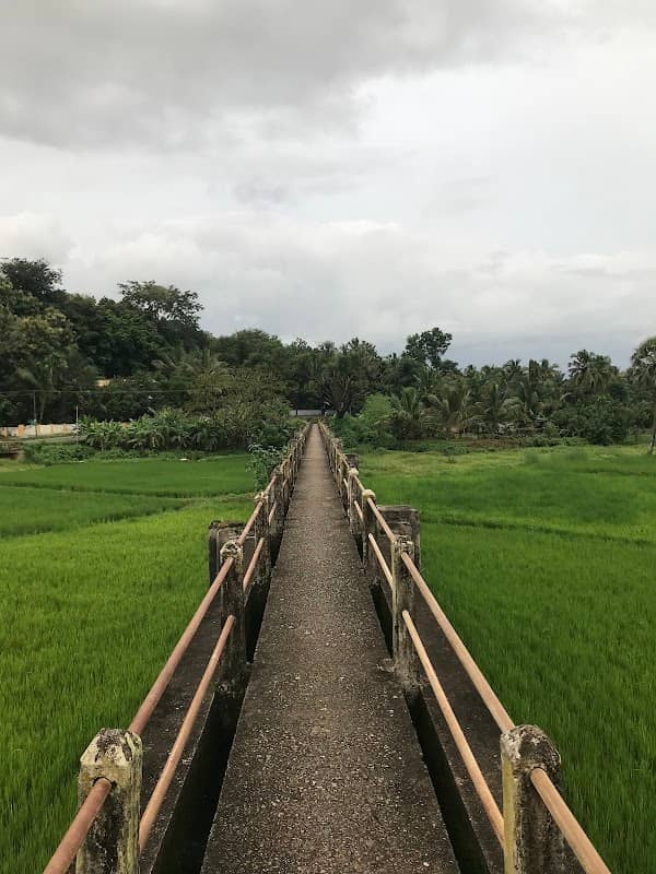 Anakkapara Aquaduct - Image 1