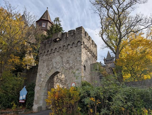Schlosspark Braunfels - Image 3