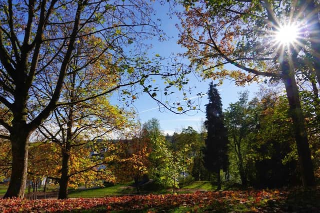 Schlosspark Braunfels - Image 1