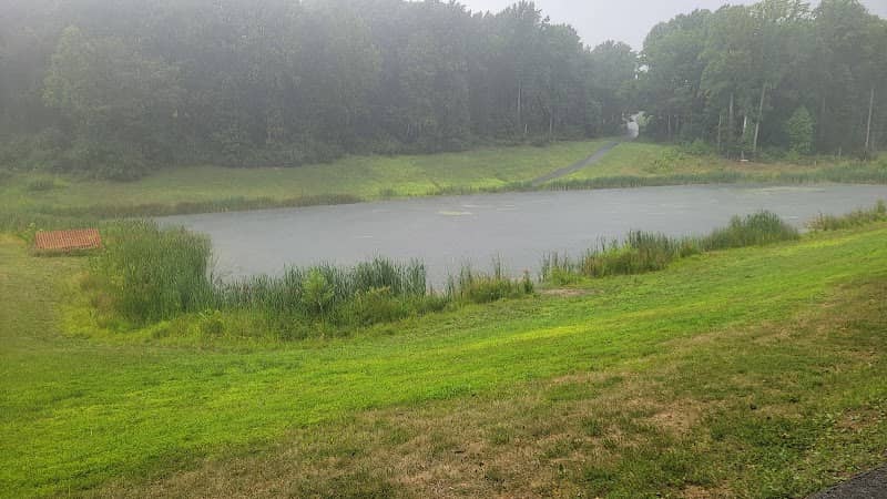 Scott's Pond - Image 2