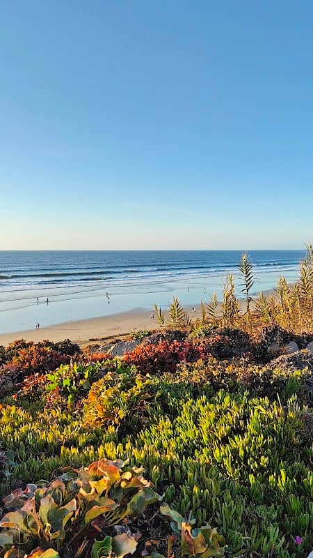 Del Mar Beach - Image 3