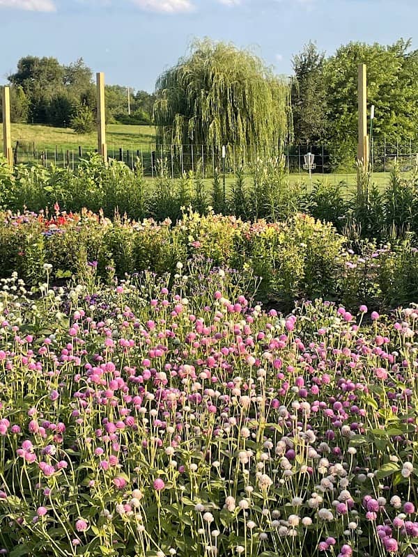 Willow Flower Farm - Image 1