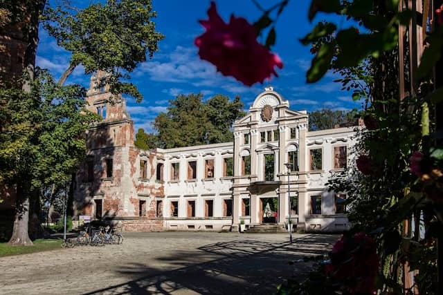 The Palace and Park - Image 1