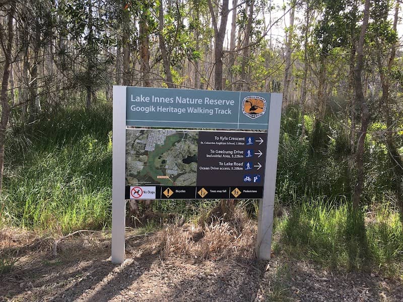 Googik Track - Image 1