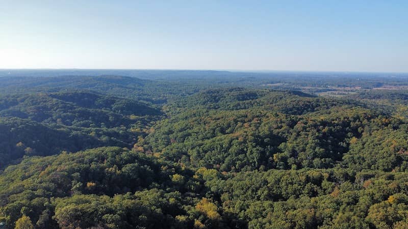 Clark State Forest - Image 2