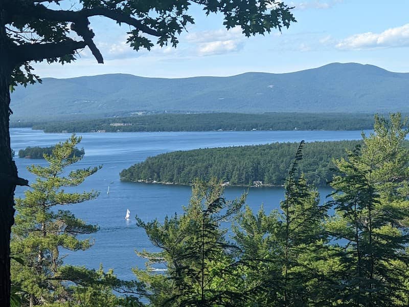 Quarry Mountain Forest - Image 1