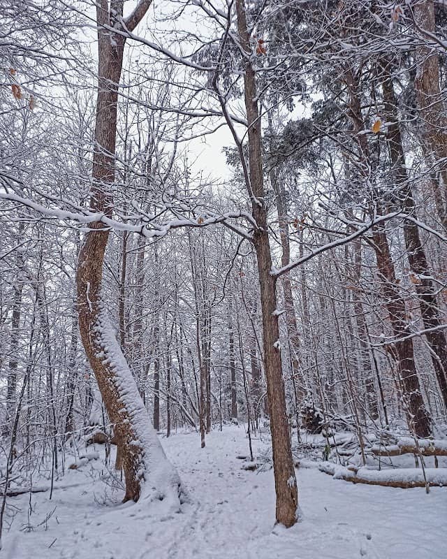 D & J Fralick Park - Image 1
