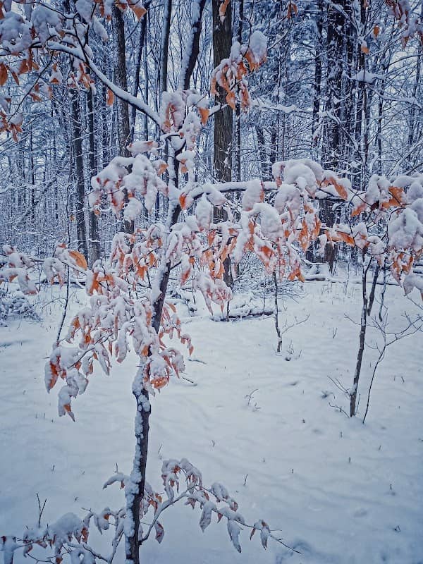 D & J Fralick Park - Image 2