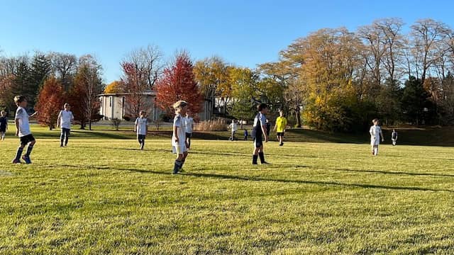 Ned Bell Park - Image 2