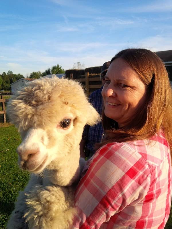 Blendon Pines Alpaca Ranch (visits by appointment) - Image 1