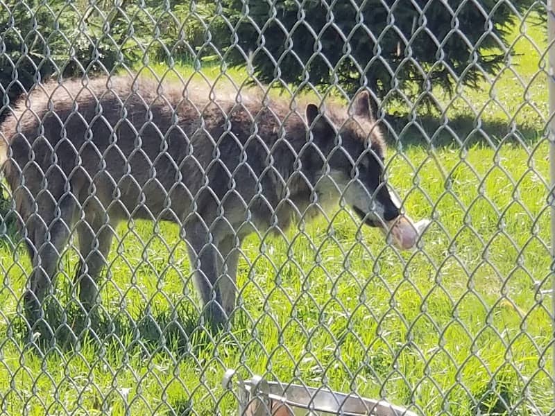 Wolf Mountain Nature Center - Image 3