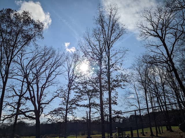 Morrison Park - Image 3