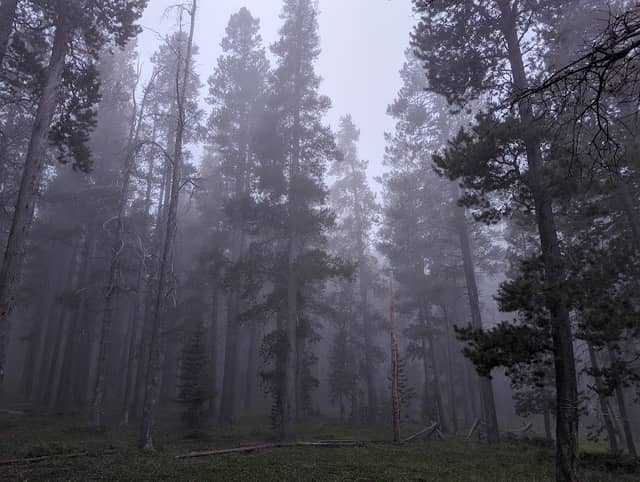 Bear Trap County Park - Image 1