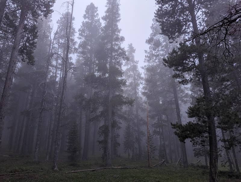 Bear Trap County Park - Image 1