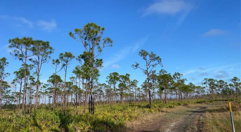 Estero Bay Preserve State Park - Image 3