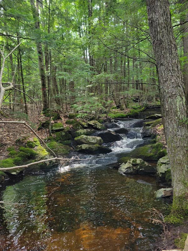 Pride Preserve - Image 2