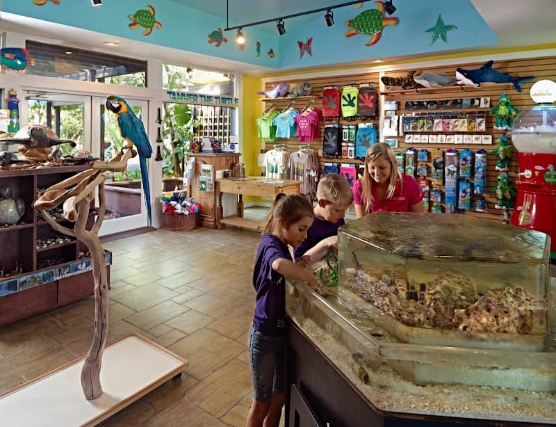 Nature Center - Kayak and Paddleboard Tours - Image 3